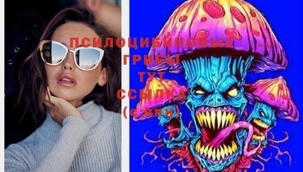 ALPHA PVP Остров