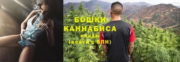 ALPHA PVP Остров