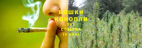 ПСИЛОЦИБИНОВЫЕ ГРИБЫ Пестово