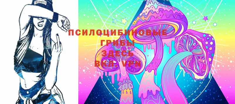 Псилоцибиновые грибы Magic Shrooms Кингисепп