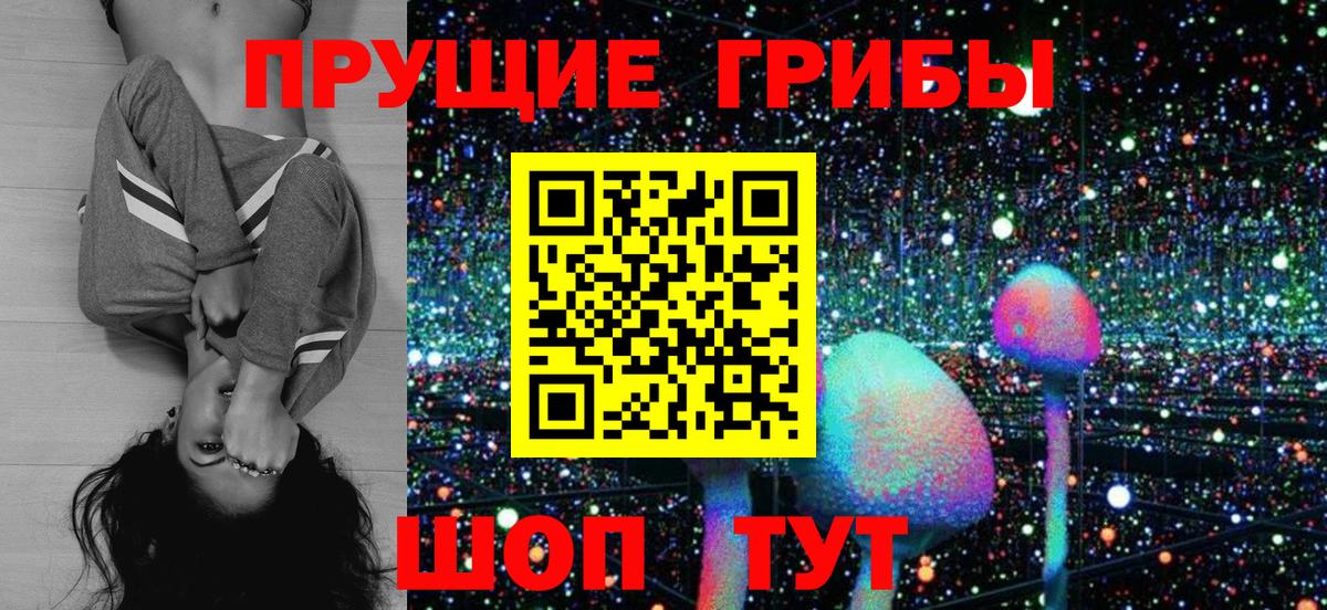 Галлюциногенные грибы Psilocybe  Вход с VPN  Кингисепп  Псилоцибиновые грибы GOLDEN TEACHER 
