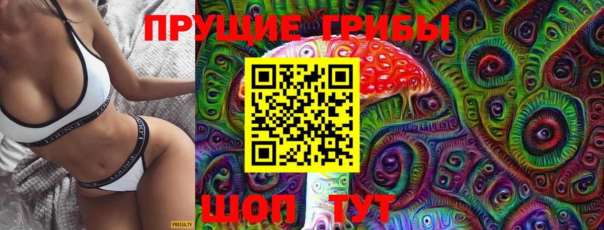 Псилоцибиновые грибы мицелий  Кингисепп  Псилоцибиновые грибы Cubensis 