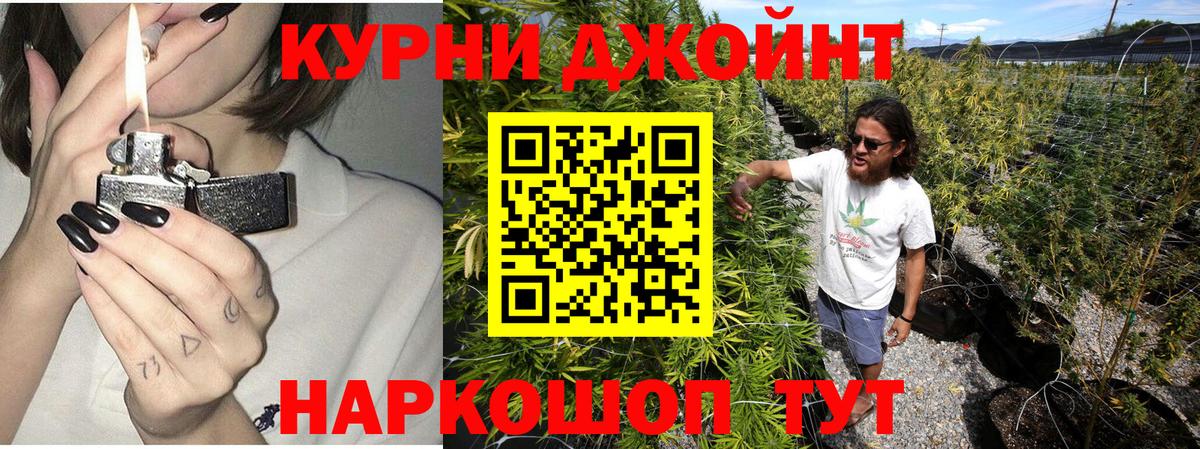 Конопля сатива  МАРИХУАНА план  Вход с VPN  Кингисепп  Конопля Amnesia 
